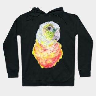 Green Cheeked Conure Hoodie